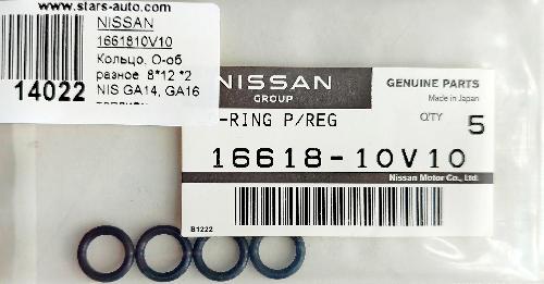 1661810V10