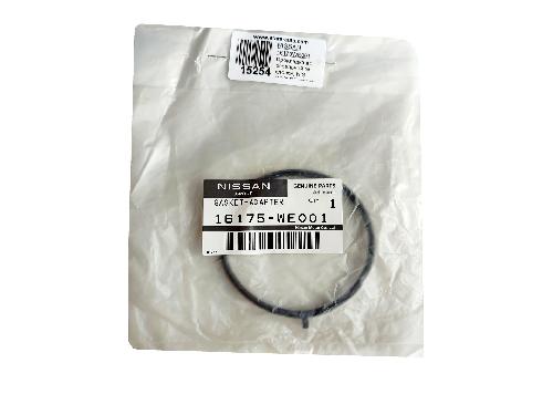 16175WE001