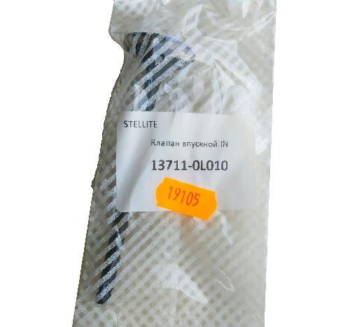 137110L010