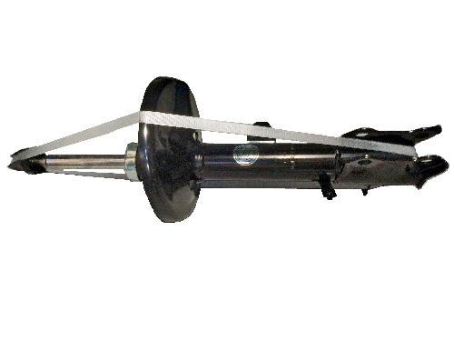 ASA01101