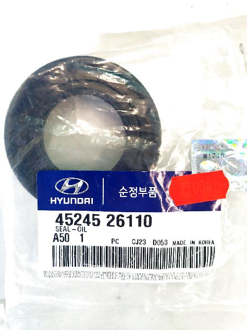 4524526110