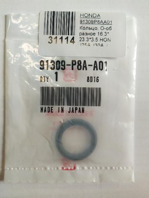 91309P8AA01