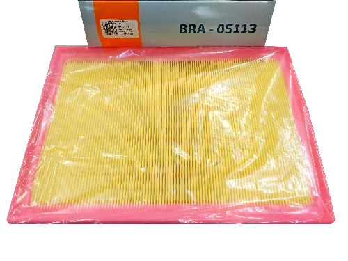 BRA05113