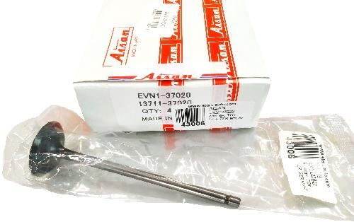 EVN137020