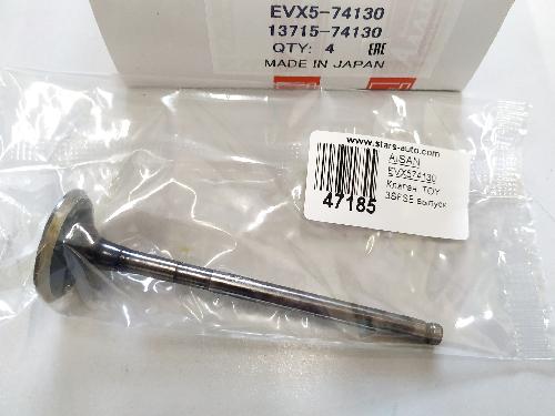 EVX574130