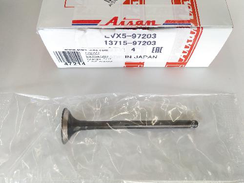 EVX597203
