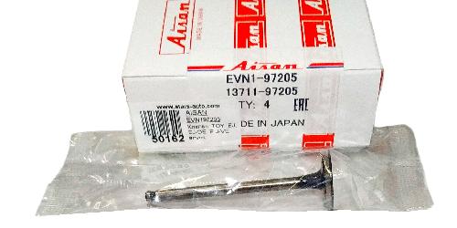 EVN197205