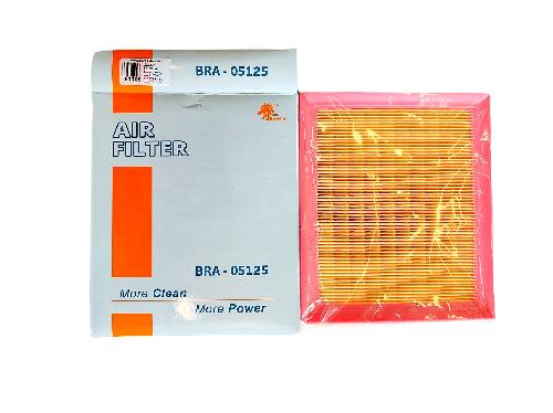 BRA05125