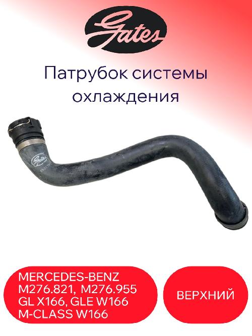 053837