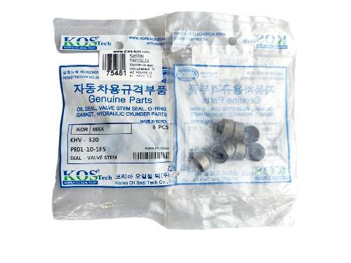 PE01101F5
