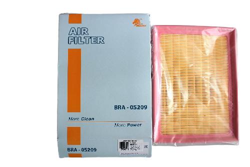 BRA05209