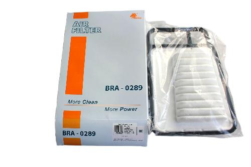 BRA0289