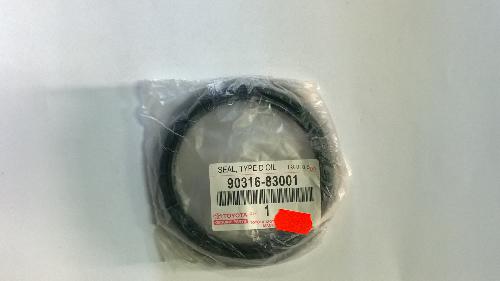 9031683001