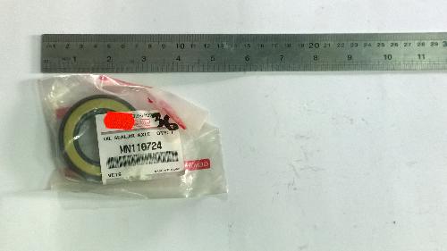 MN110724